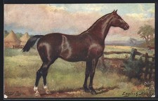 Artist postcard harry payne - harry,