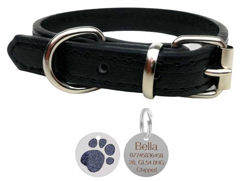 Vibrant leather dog collar - leather,