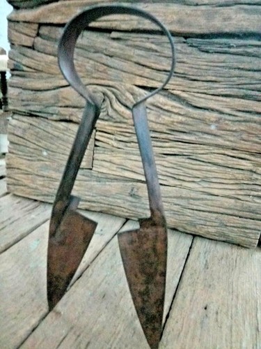 Old antique vintage iron sheep - iron,