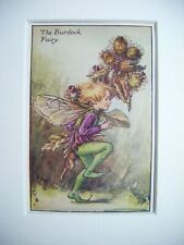 Vintage Flower Fairies Print &