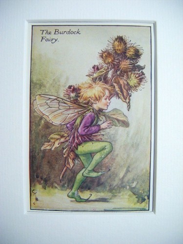 Vintage flower fairies print - flower,