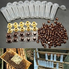 Bee Queen Rearing Cupkit Set