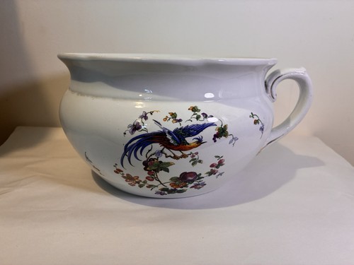 Chamber pot bird - pot, of