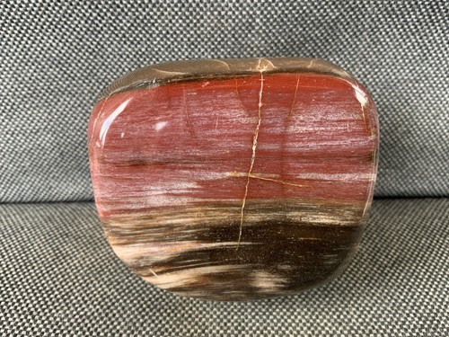 Polished fossil wood log - polished,