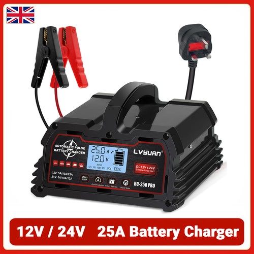25a 12v 24v smart - 12v/24v, battery