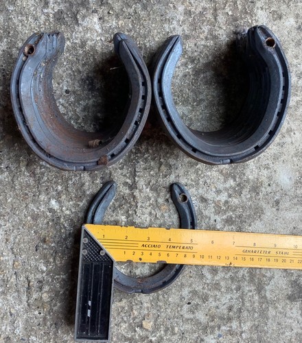 Hind horse shoes - hind,