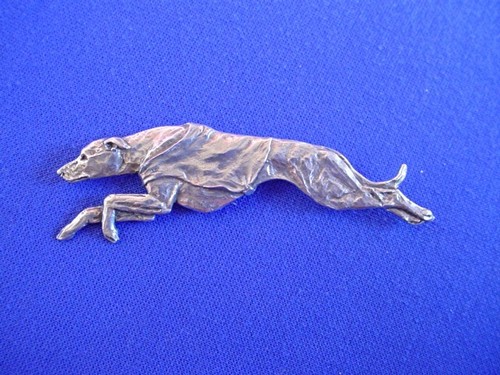 Whippet greyhound coursing - whippet,
