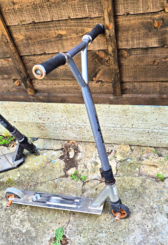Silver black mongoose - silver,