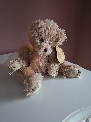 Heartfelt bear jewel bnwt - heartfelt,