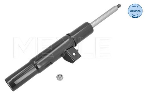 Car shock absorber - left, front