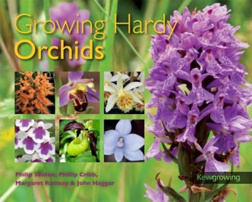 Growing hardy orchids - hardy,