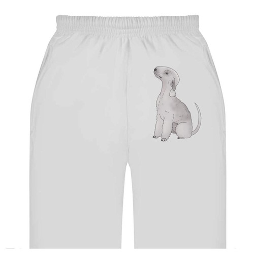 Bedlington terrier dog adult - 'bedlington, dog'