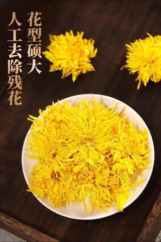 Premium golden chrysanthemum - premium,