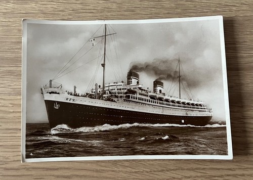 Vintage postcard rex - vintage,