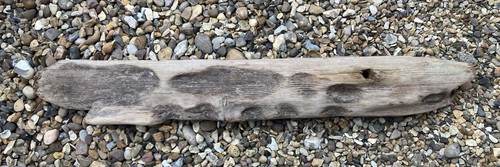 Driftwood piece - driftwood,