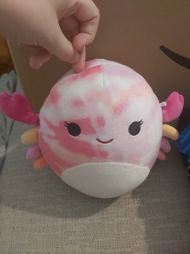 Squishmallow crab - squishmallow,