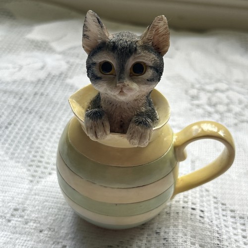Pretty looking cat - looking, in