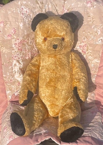Large old sooty - large,
