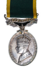 Territorial Efficiency Medal ~
