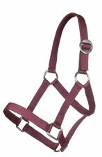 HKM Head Collar For Minishetty