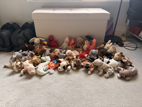Beanie babies bundle - ty,
