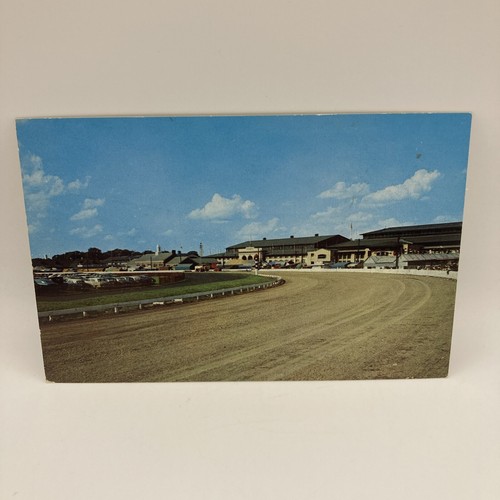 Postcard sulky racing track - sulky,
