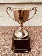 🏆 Silver Swatkins Trophy