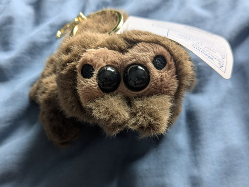 Build bear jumping spider - jumping,