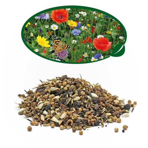 Native wiidflower seed mix - wiidflower,