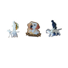 Guide Dogs For The Blind Pin Badge Assistance Pet Dog Dogs Charity Organisation