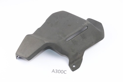 Aprilia etv 1000 - 1000, capo