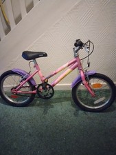 Raleigh Child's Kids' Bike