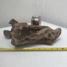 Interesting Driftwood Piece