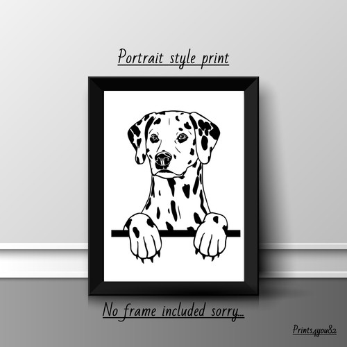 Dalmatian dog pet picture - a4,