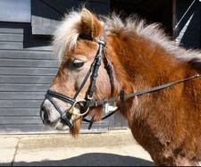 Windsor Sythentic Leather