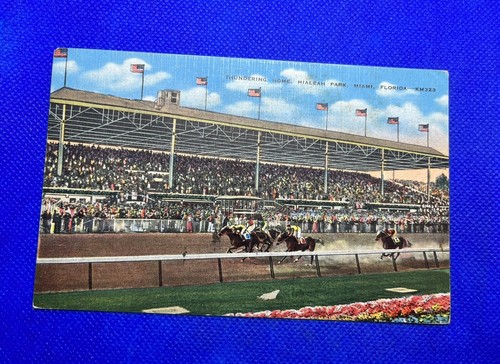Thundering home horse racing - horse,