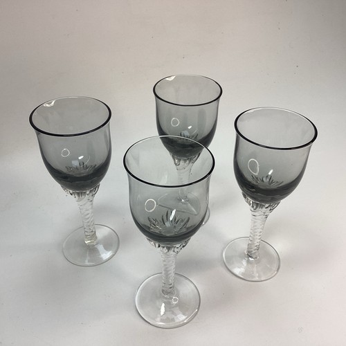 Twisted stem cordial - twisted,