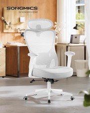 Ergonomic Mesh Office Chair