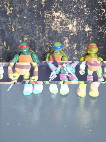 Teenage mutant ninja turtles - mutant,