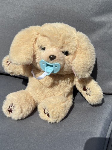 Little live pets cozy - little, dozy