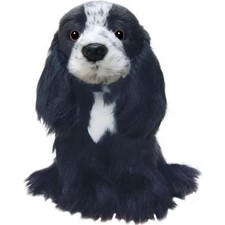 Cocker Spaniel (Blue Roan) Dog