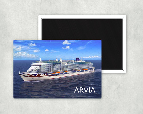 Cruise ship metal fridge - p&o,