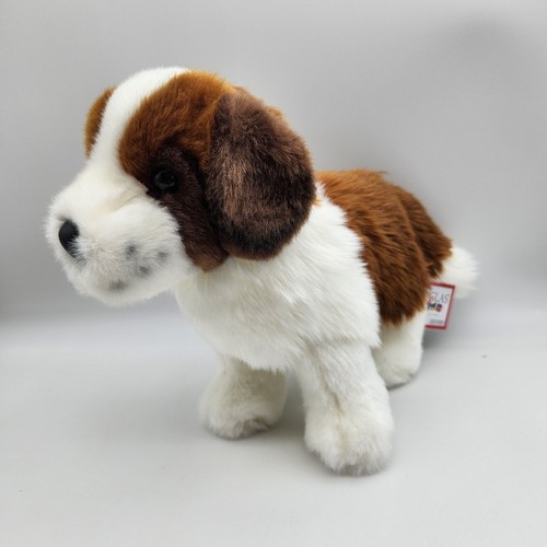 Douglas bernard dog 14 - dog,