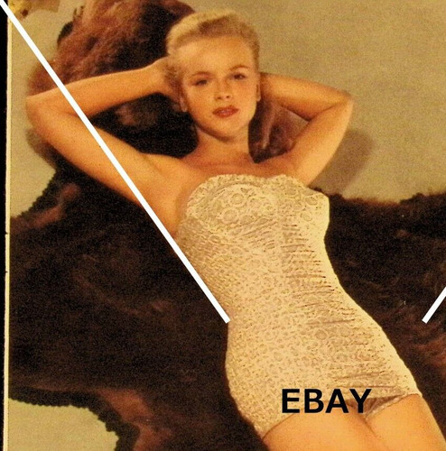 Vtg anne francis pinup bear - anne,