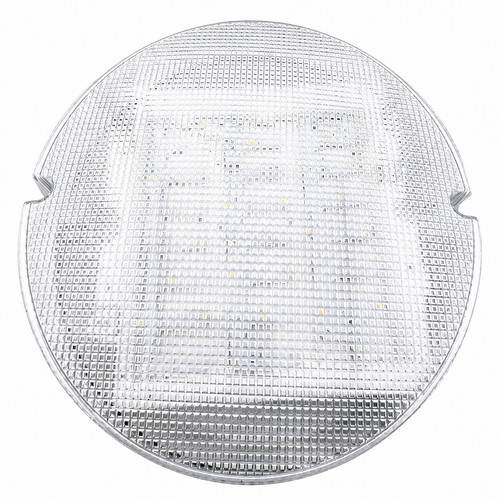 Fern howard led - fern, bulkhead