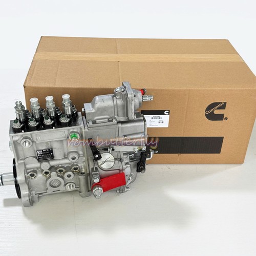 Cummins fuel injection pump - fuel,