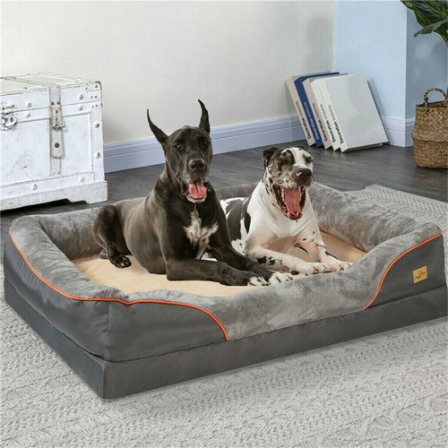 Pet cooling orthopedic - pet, cooling,