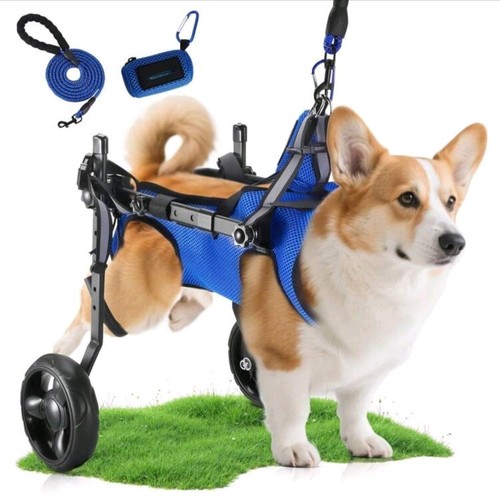 Small pet wheelchair for - small,