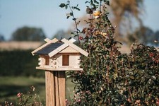 Roof Shingles Beaver Tail