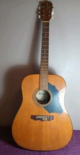 Trubadour Acoustic Guitar